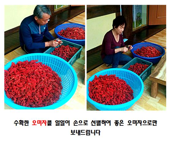 성암골농장 생오미자4.jpg