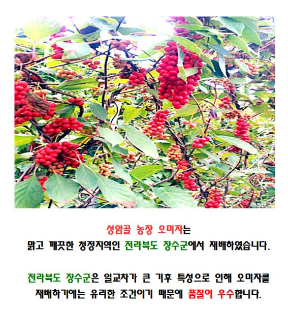 성암골농장 생오미자2.jpg