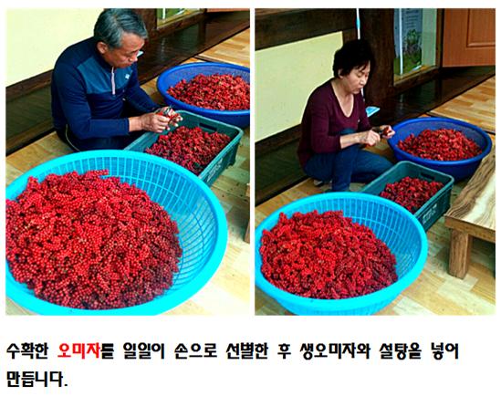 성암골오미자4.jpg