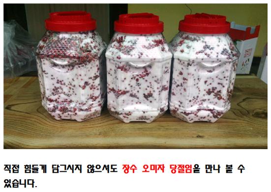성암골오미자5.jpg