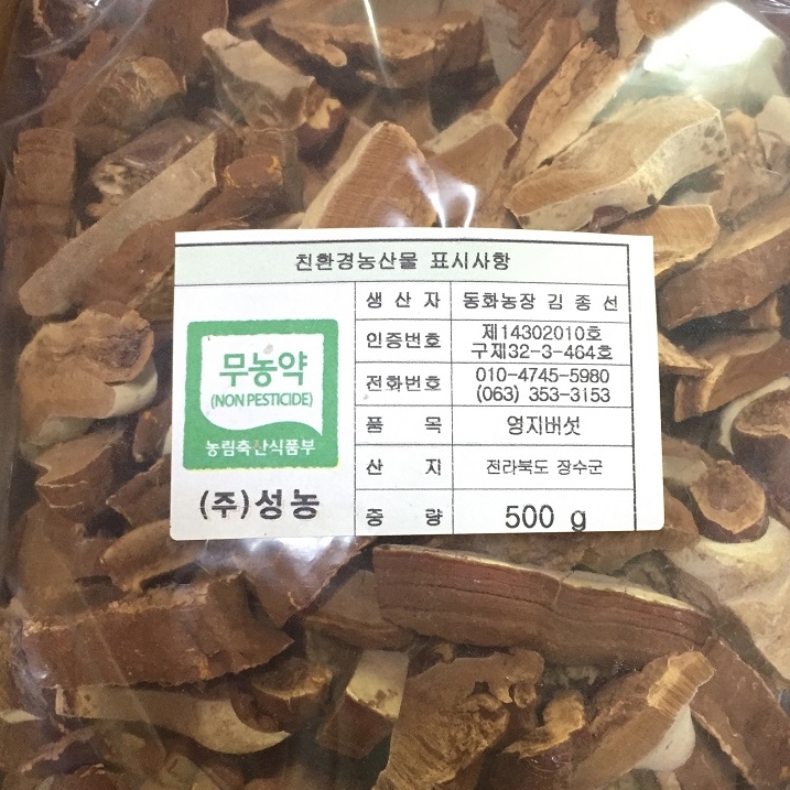 영지버섯1.jpg