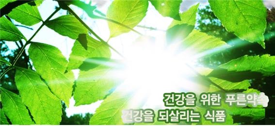 엽록소2.jpg