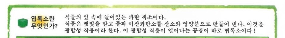 엽록소란001.jpg