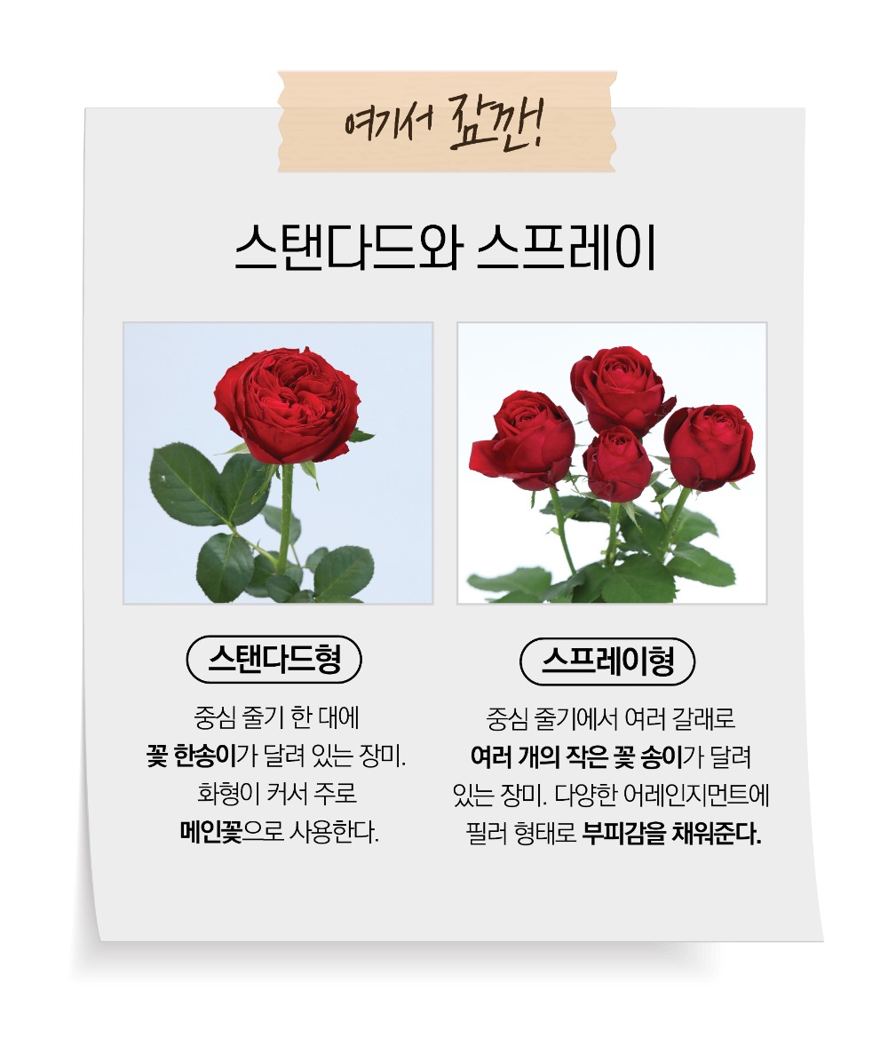 상세6.jpg